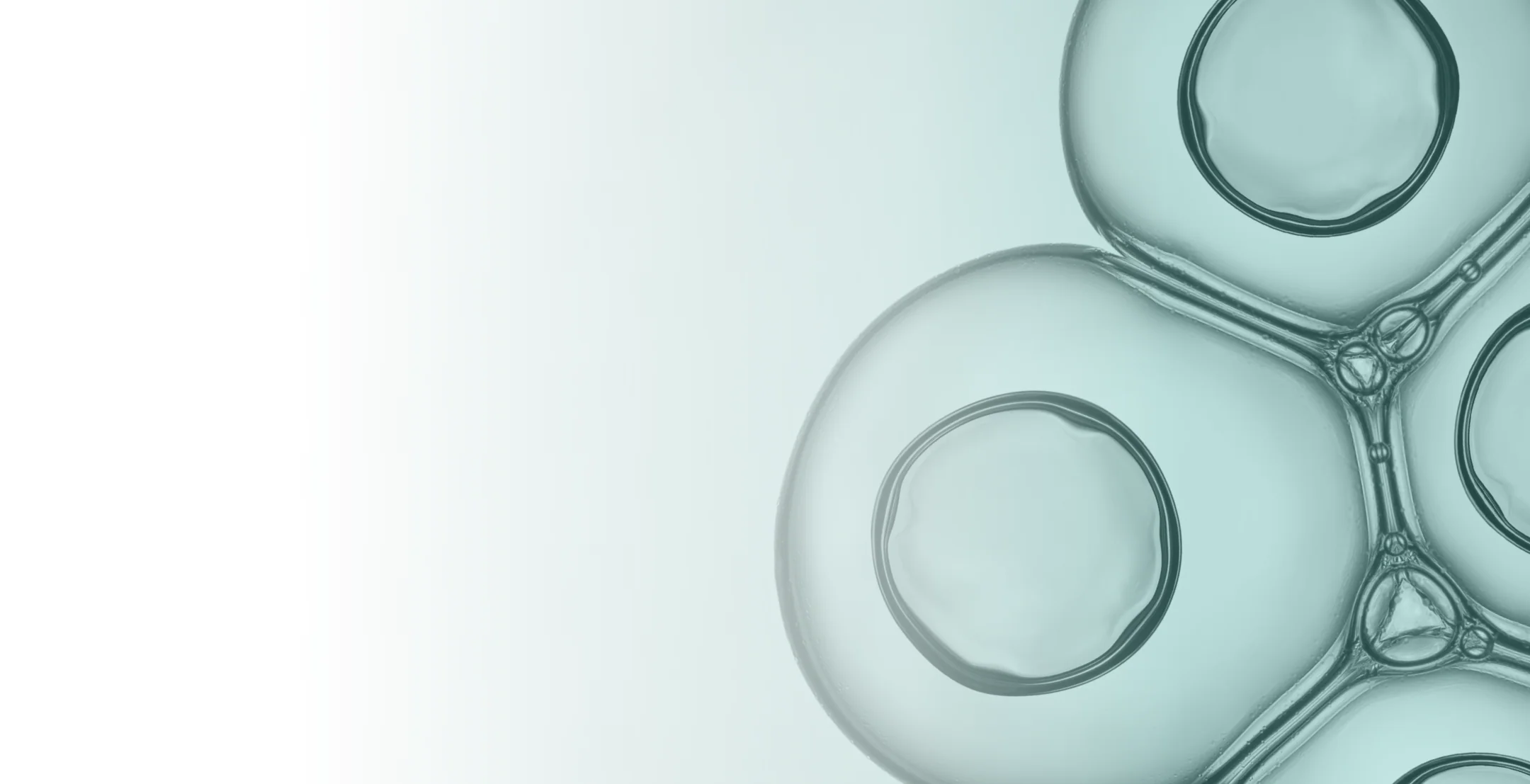 Scientific laboratory glassware background