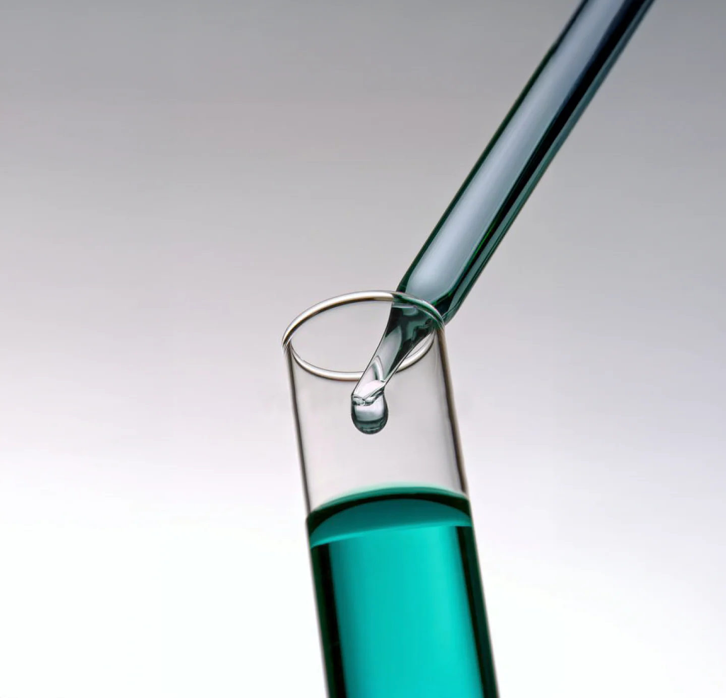 Scientific Validation Section