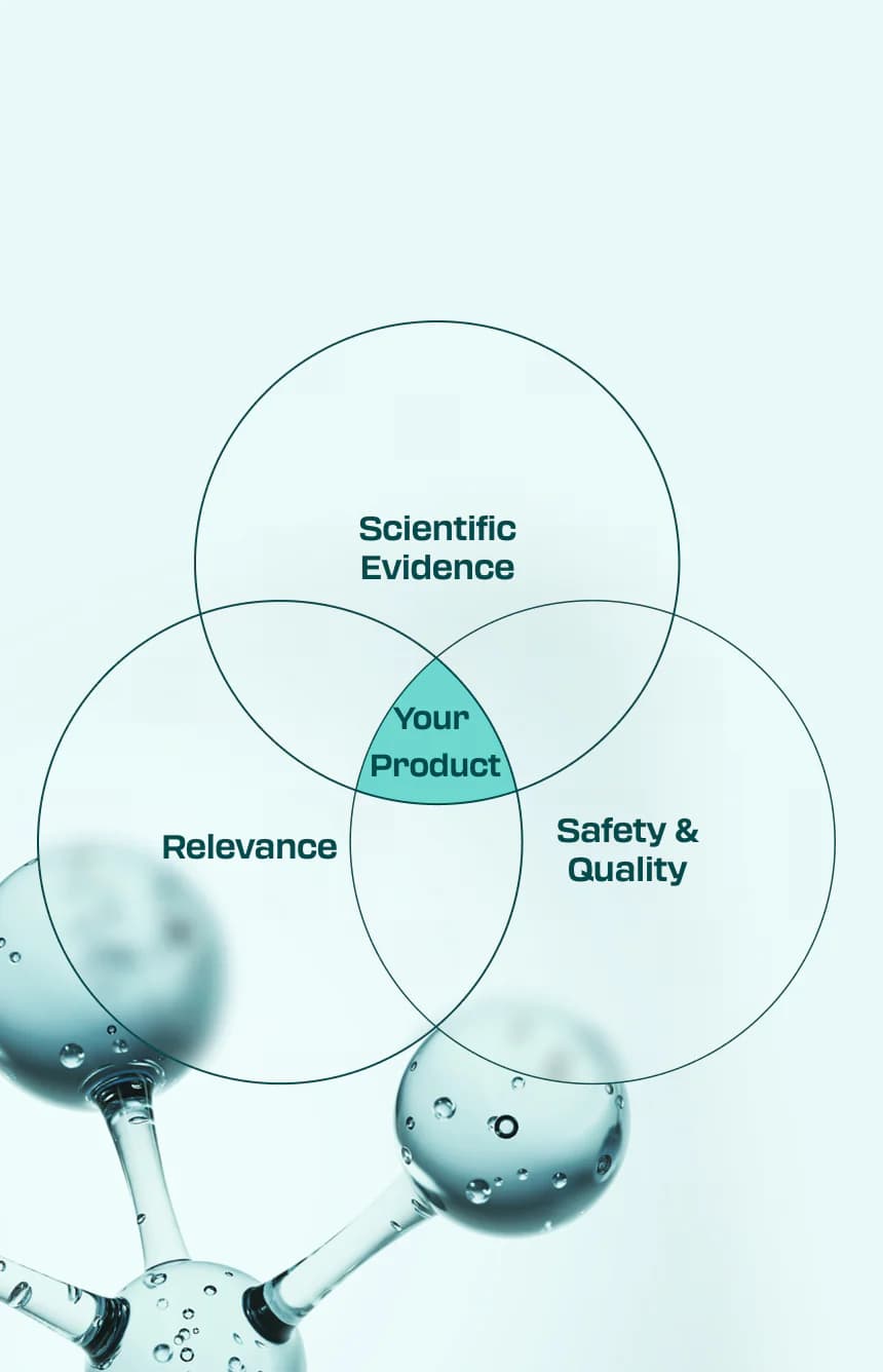Our R&D Principles background